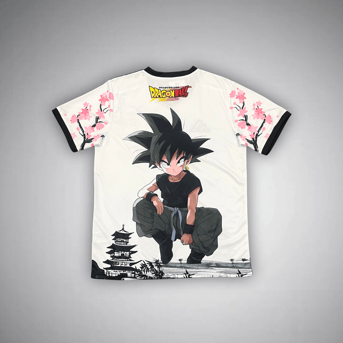 Japan "Dragon Ball" Premium Kit