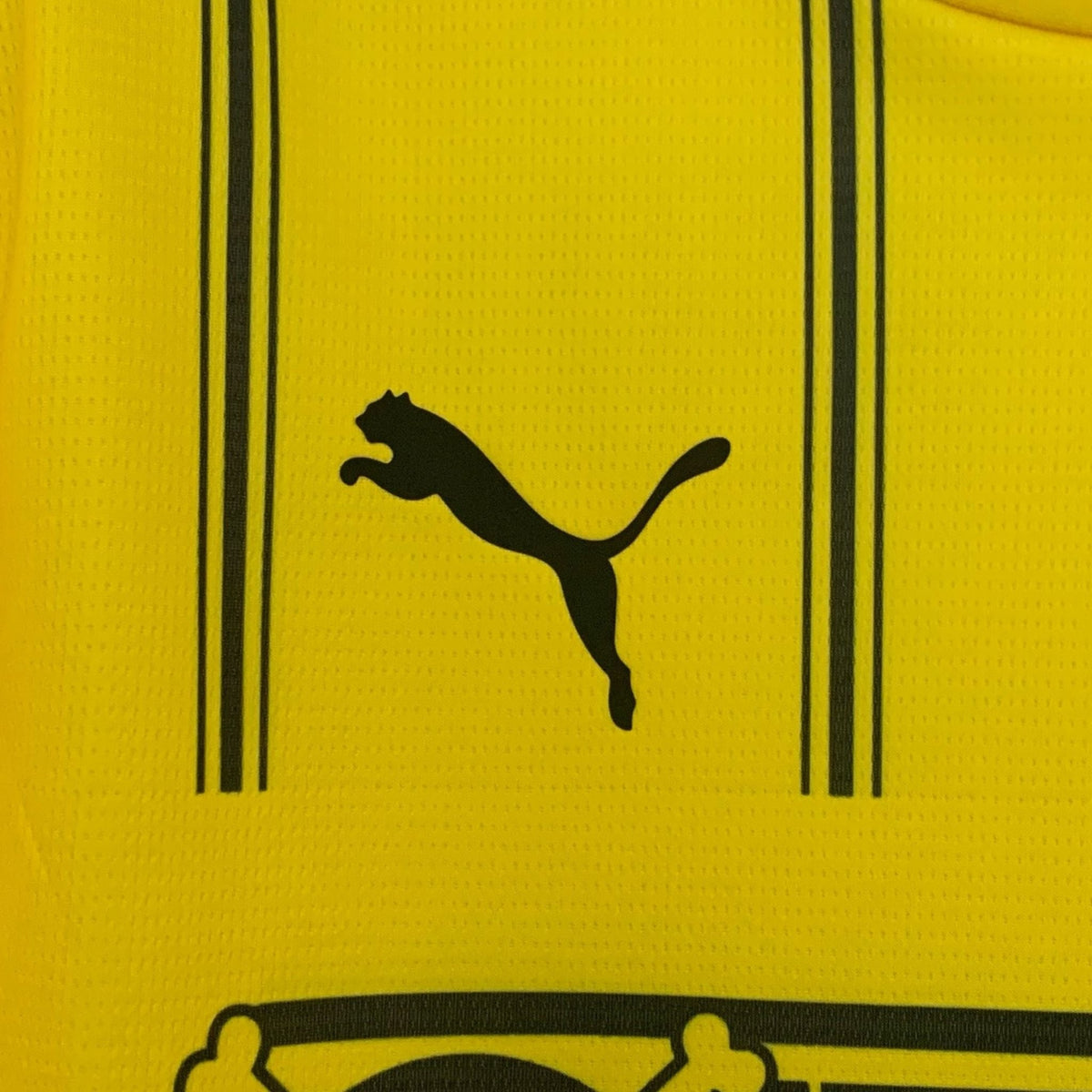Borussia Dortmund x One Piece Premium Kit
