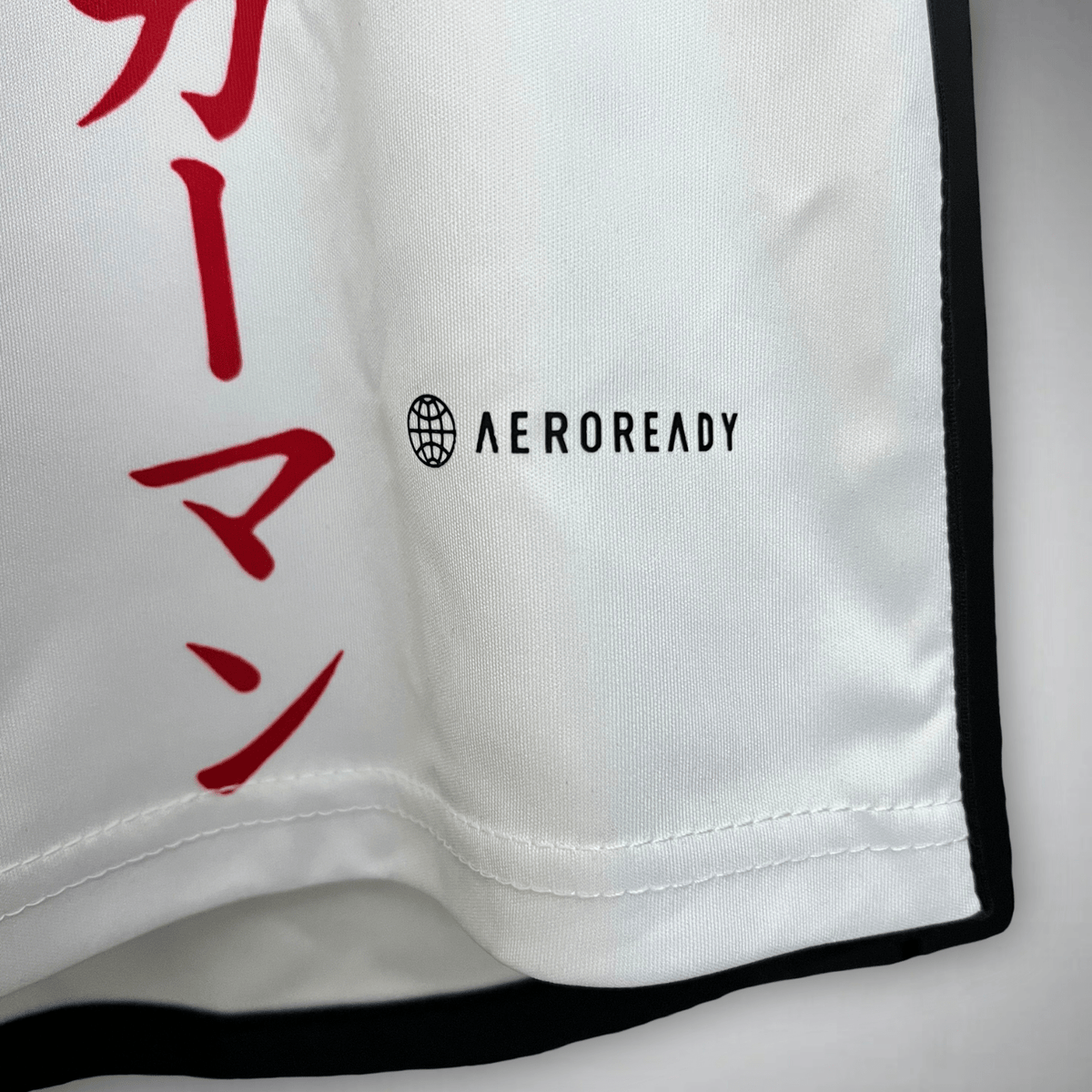 Japan "Levi Ackerman" Premium Kit