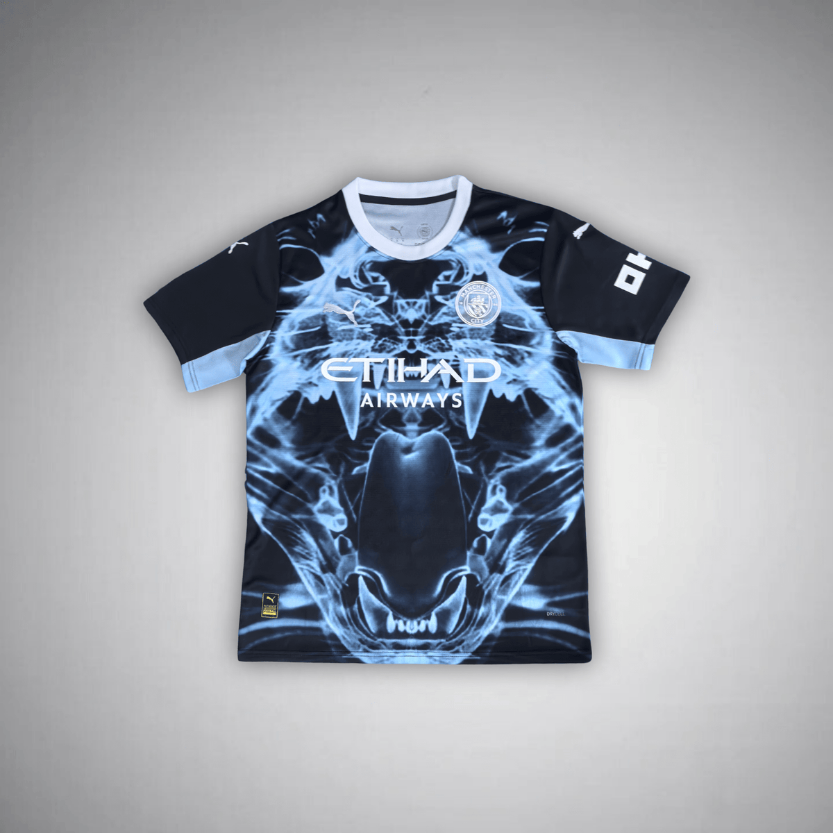 Manchester City "Predator X" Premium Kit