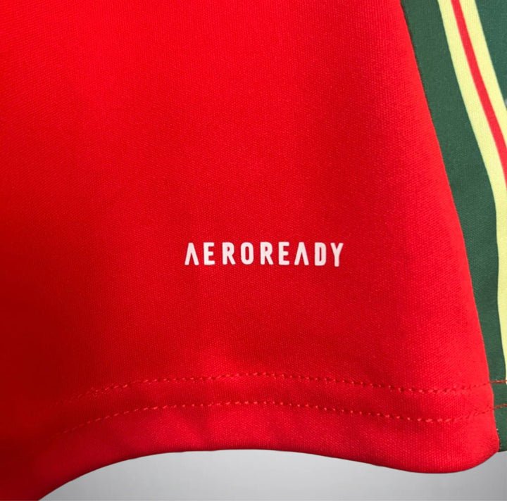 Wales 2024 Home Kit